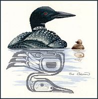Loon & Chick
