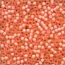 62036 - Pink Coral