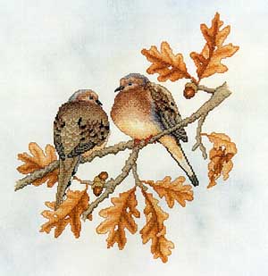 Mourning Doves