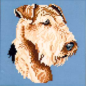 Airedale (Head)