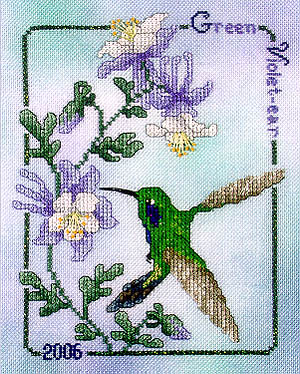 Green Violet-Ear Hummingbird 26