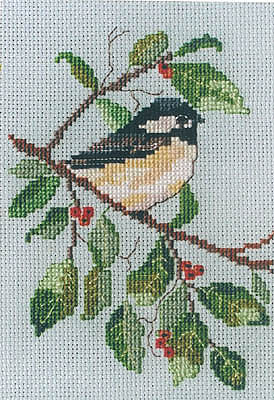 Chickadee