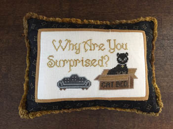 Life With Cats - Best Bed