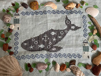 Wild Whimsy Whale