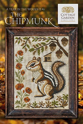 Year In The Woods II - Chipmunk 6