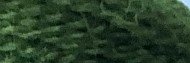 256 - Grass Green