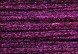 Y012 - Passionate Purple Gloss