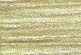 Y059 - Golden Yellow Gloss