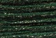 Y090 - Green Sparkle Gloss