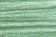 Y134 - Grass Green Pearl