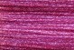 Y344 - Wild Rose Gloss