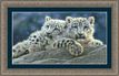 Snow Leopard Cubs
