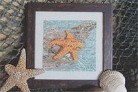 Wish Upon A Starfish