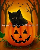 Halloween Kitten