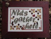 Nuts Gather Here