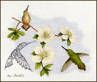 Dogwood & Hummingbird