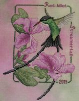 Red Billed Streamertail-2013 Hummingbird