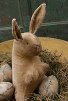 Velveteen Rabbit & Eggs