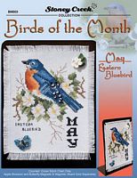 Birds Of The Month-May (Eastern Bluebird)