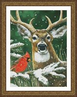 Deer And Cardinal