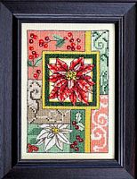 Beautiful Poinsettia