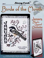 Birds Of The Month-January (Black Capped Chickadee)