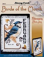 Birds Of The Month-February (Blue Jay)