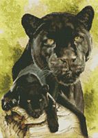 Spirit Of The Black Leopard