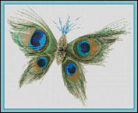 Peacock Butterfly