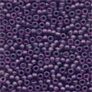 62056 - Boysenberry