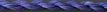 Blueberry - 024