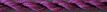 Grape - 061