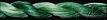10471 Grass is Green
