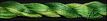 1047 Tropical Green